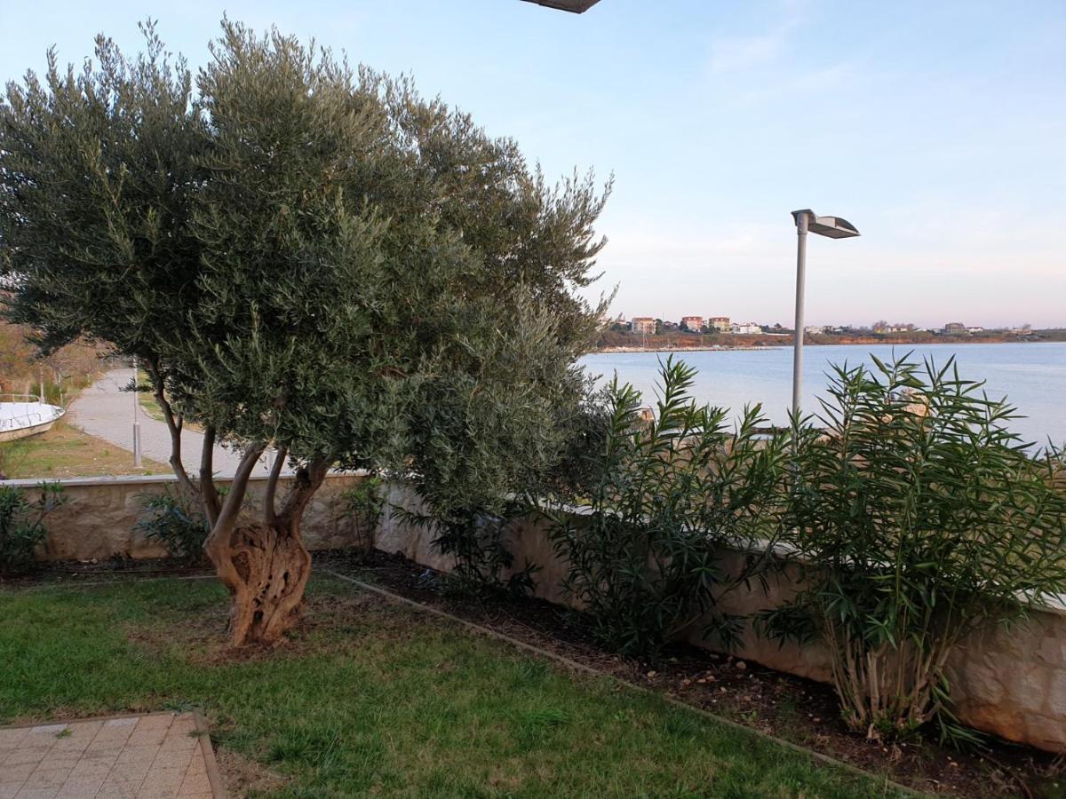 Apartament Summertime