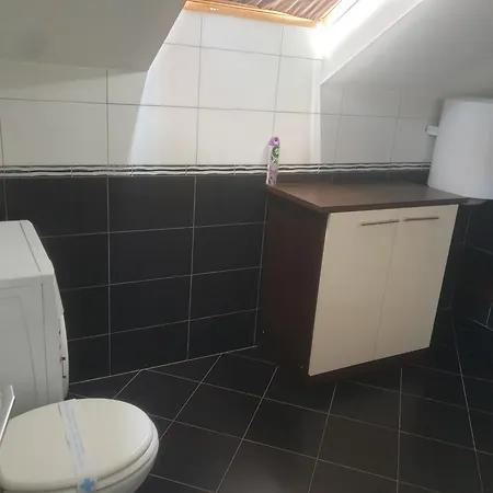 Summertime Apartmani Povljana Room photo