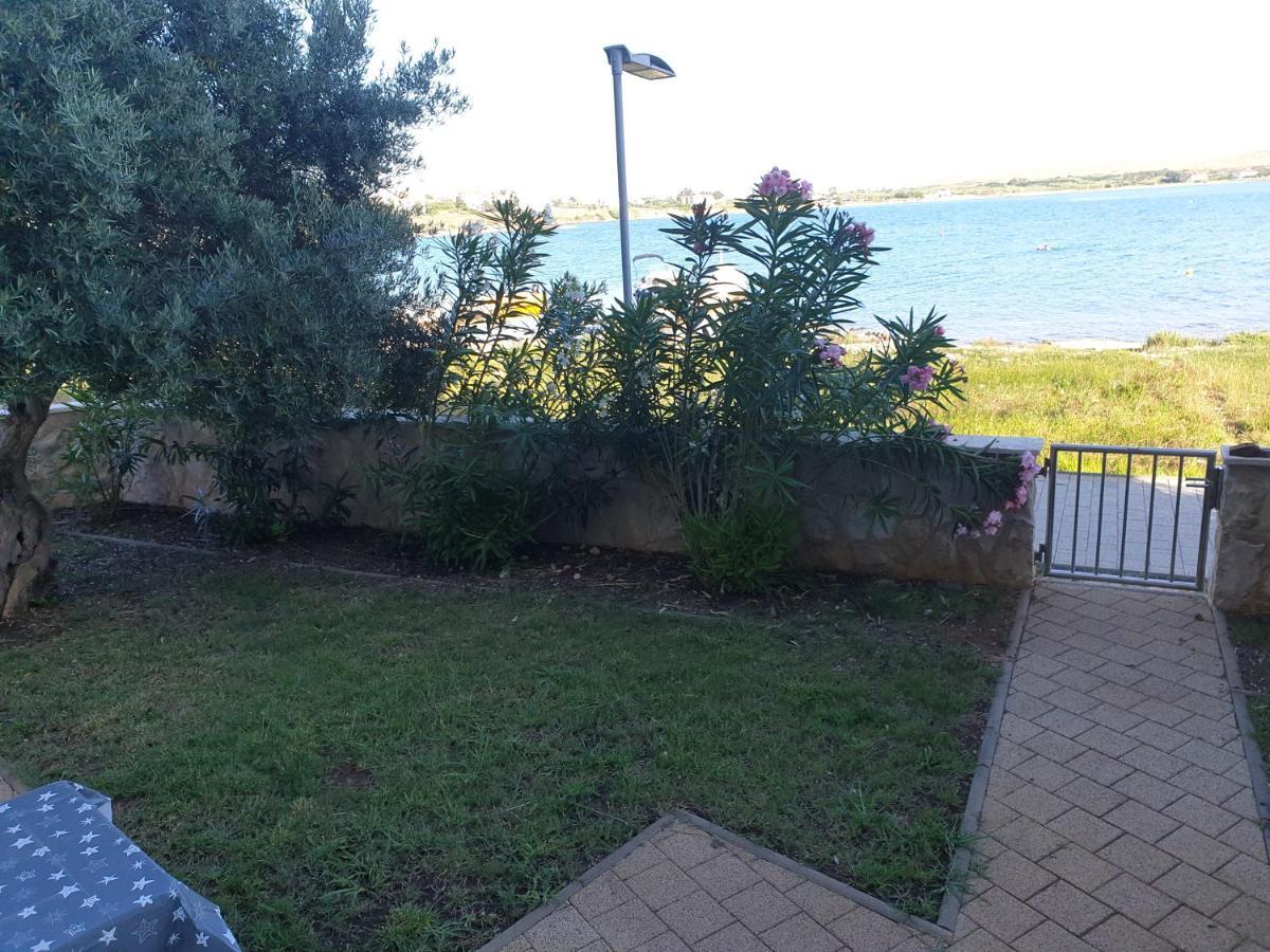 Summertime Apartment